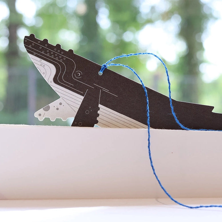Bookmark Card_Humpback Whale