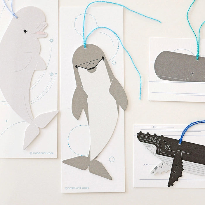 Bookmark Card_Beluga