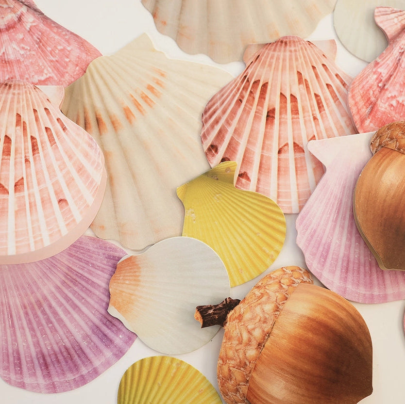 Mini Message Card_Rose Scallop