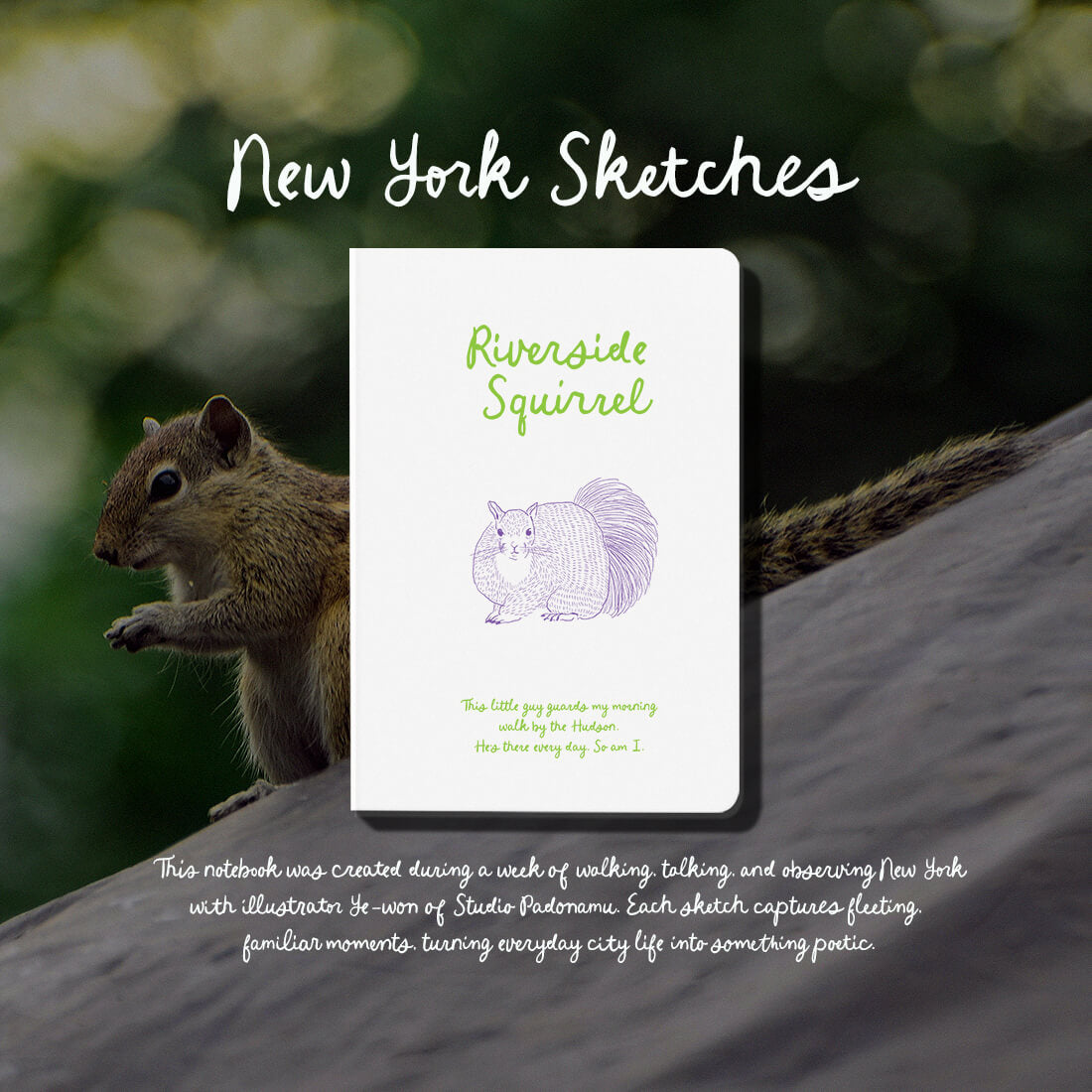 Stitch Note NYC_02 Squirrel