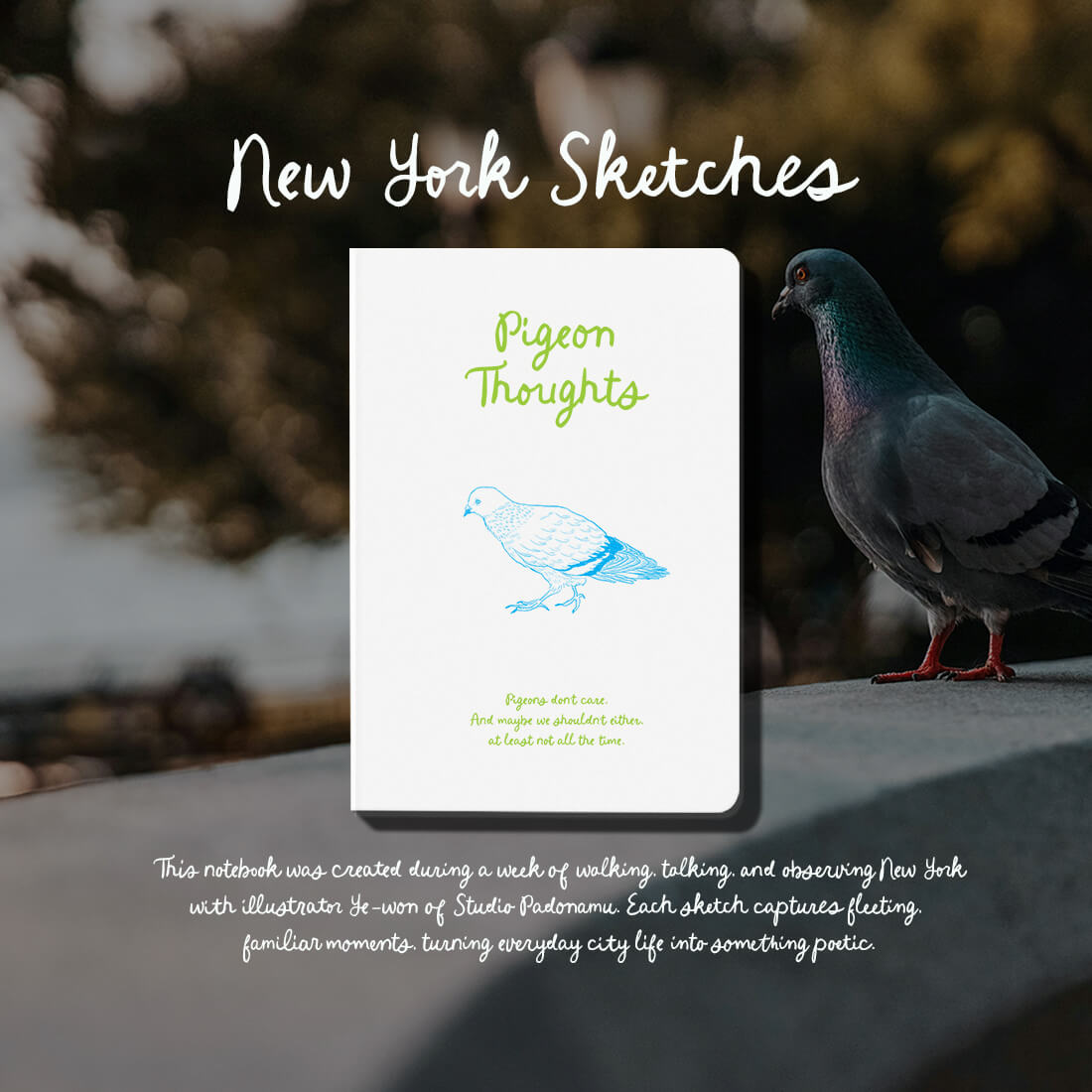 Stitch Note NYC_04 Pigeon