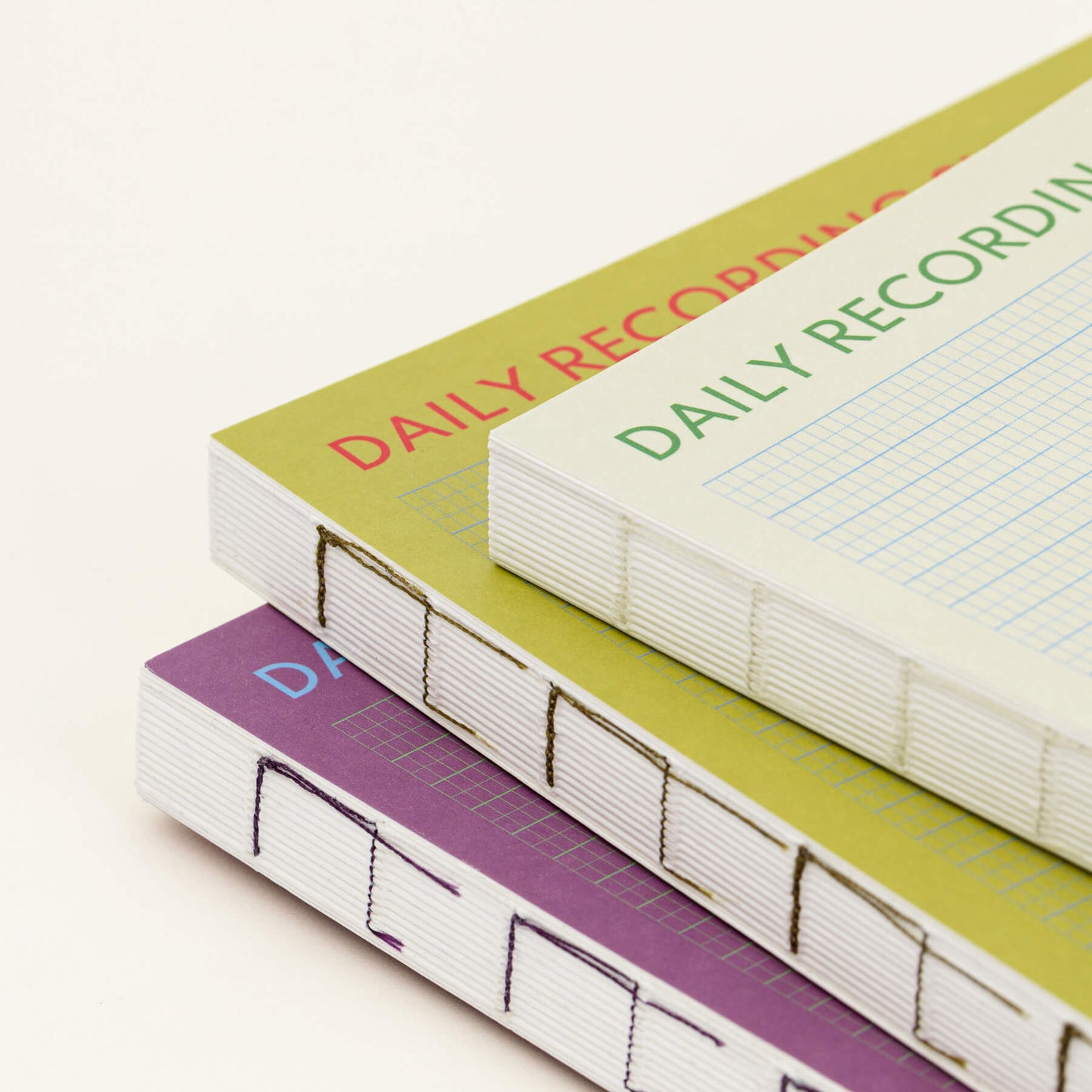 Little things All-in-One Recording System Diary