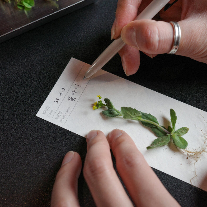 Plant Collecting Bookmark_Mugunghwa