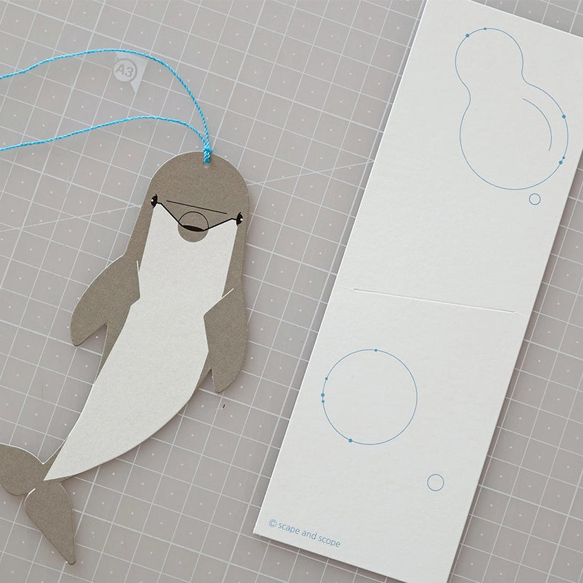 Bookmark Card_Bottlenose Dolphin