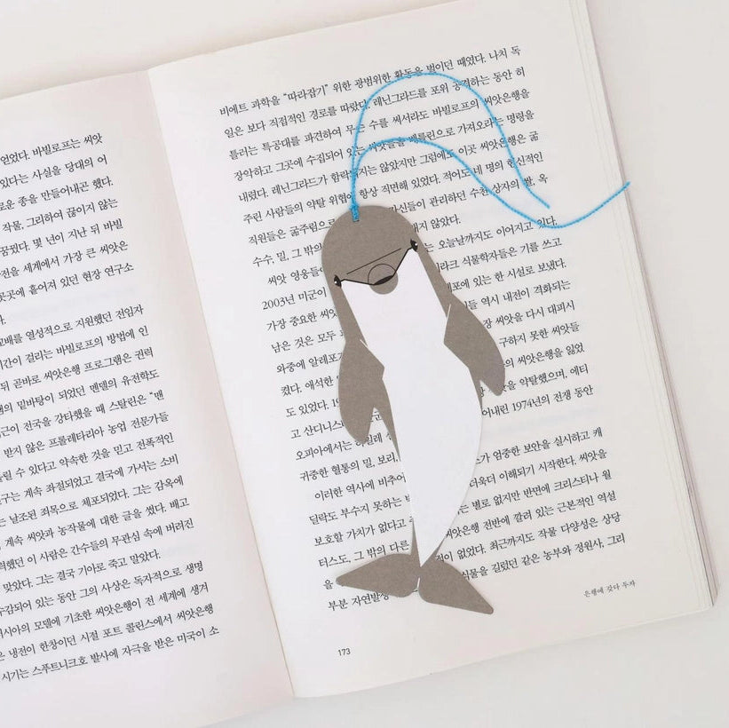 Bookmark Card_Bottlenose Dolphin