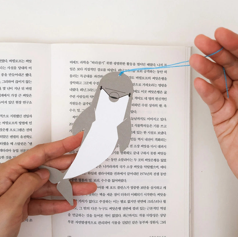 Bookmark Card_Bottlenose Dolphin