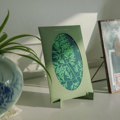 Cyanotype Card Making Kit_Dried Grass