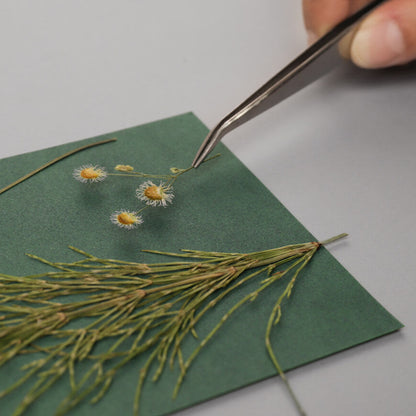 Cyanotype Card Making Kit_Dried Grass