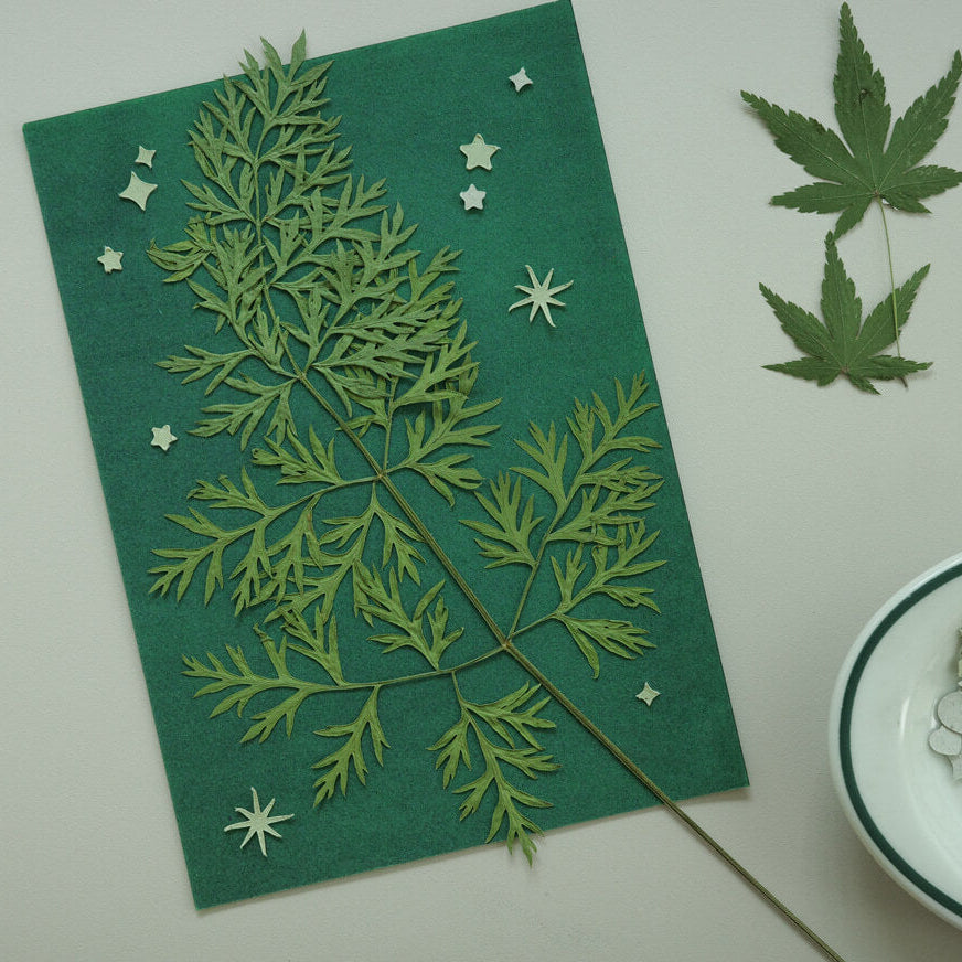 Cyanotype Card Making Kit_Dried Grass