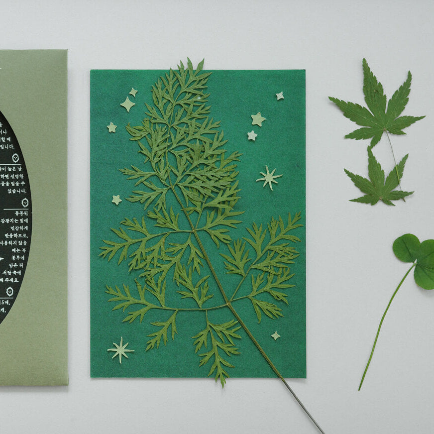 Cyanotype Card Making Kit_Dried Grass