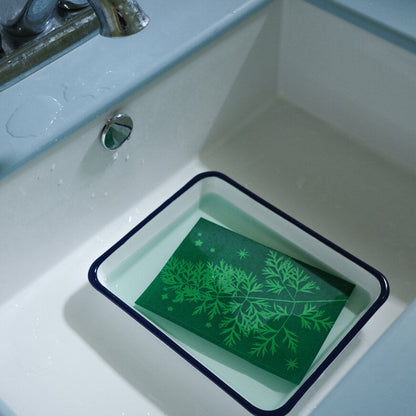 Cyanotype Card Making Kit_Dried Grass