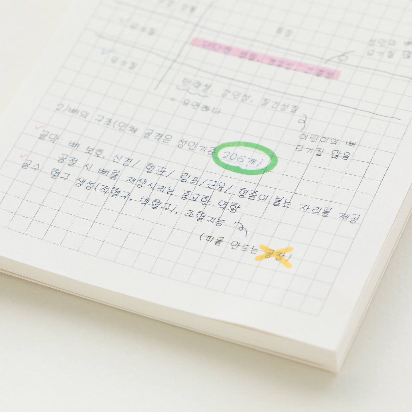 Here, Dear Functional Memo Pad