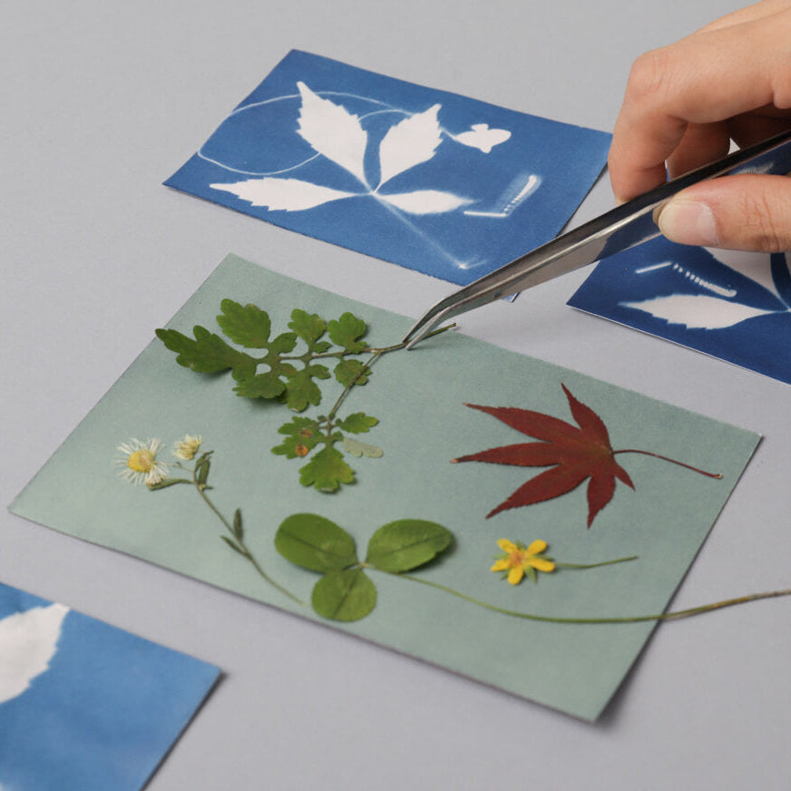 Cyanotype Card Making Kit_Indigo