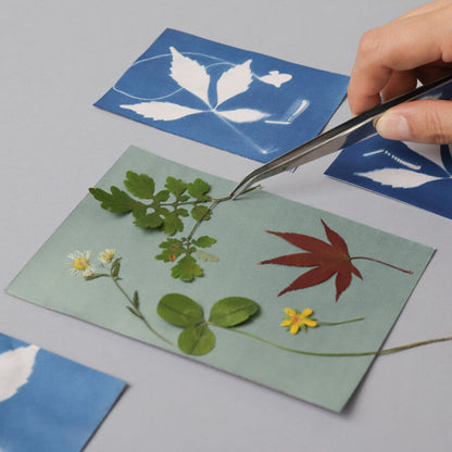 Cyanotype Card Making Kit_Indigo