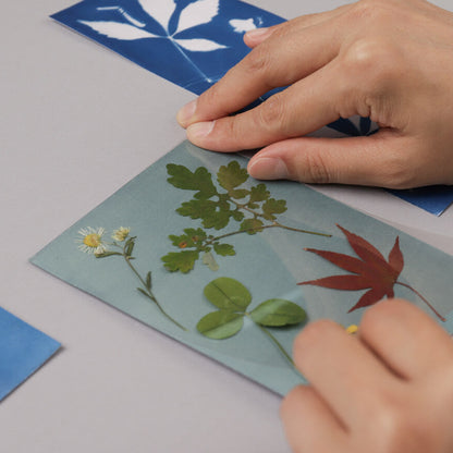 Cyanotype Card Making Kit_Indigo