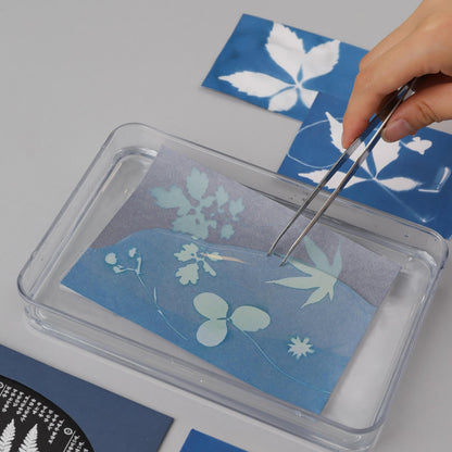Cyanotype Card Making Kit_Indigo