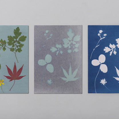 Cyanotype Card Making Kit_Indigo