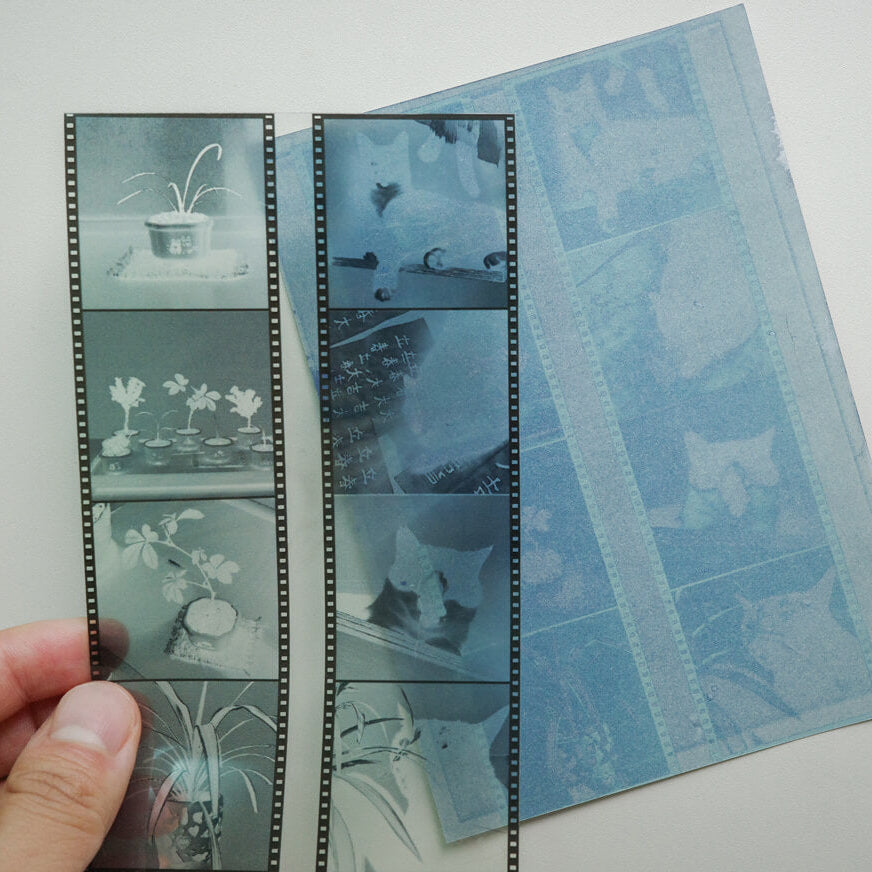 Cyanotype Card Making Kit_Indigo