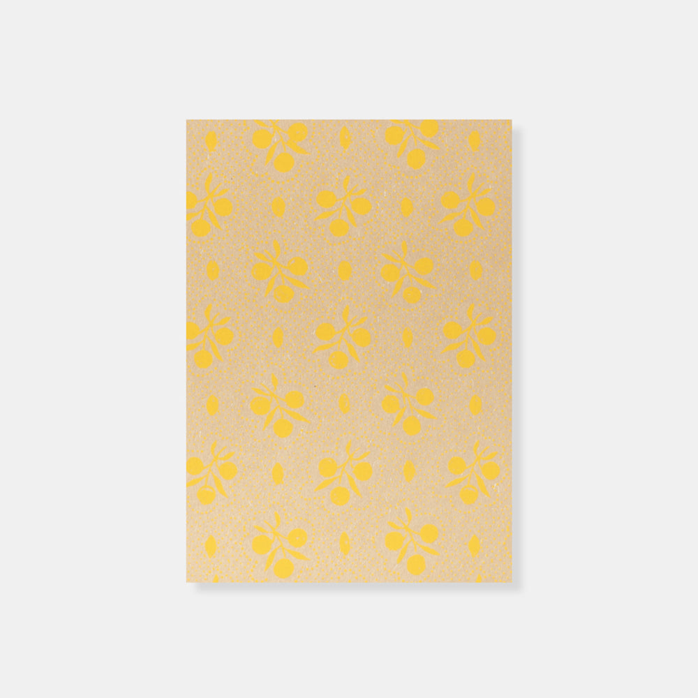 Paper Cover Jacket Set_Yellow Fruit