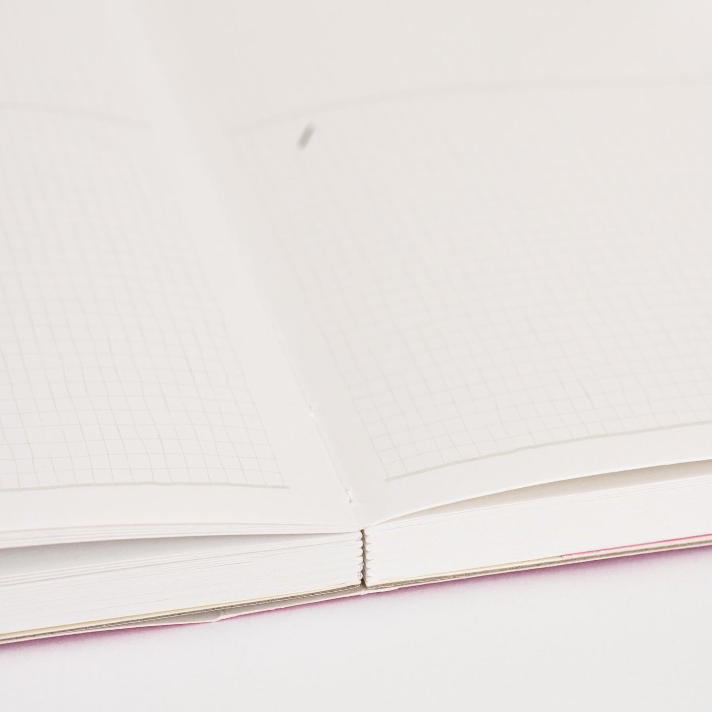 Little Luxe All Season Drawing Diary