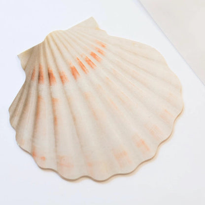 Mini Message Card_Ivory Scallop