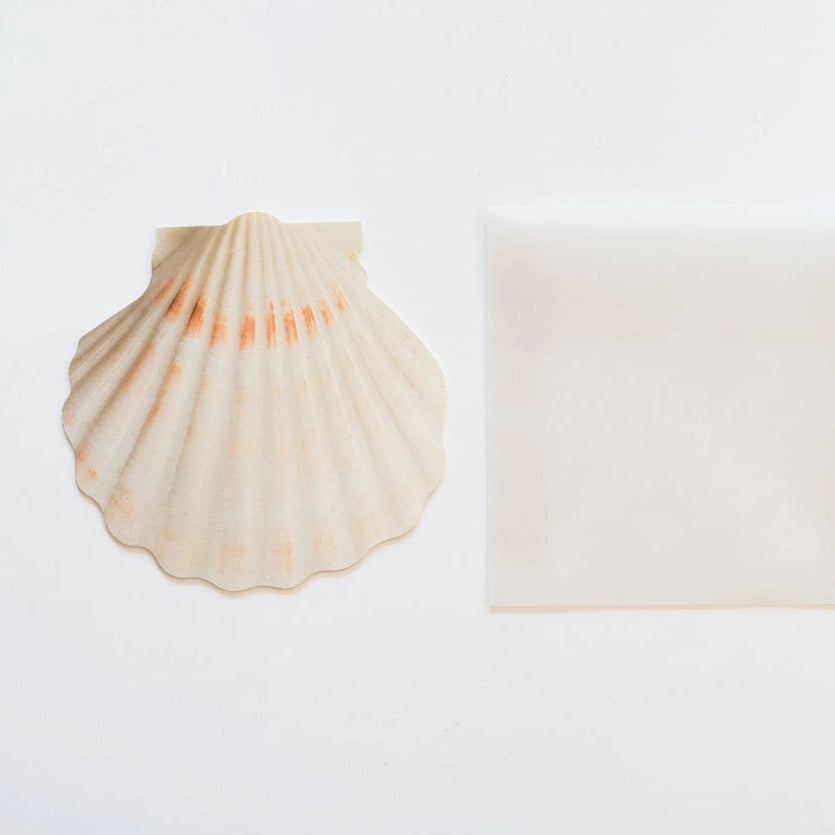 Mini Message Card_Ivory Scallop