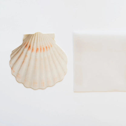 Mini Message Card_Ivory Scallop