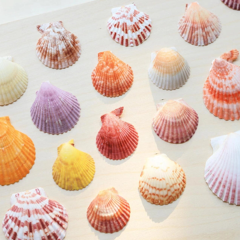 Mini Message Card_Lavender Scallop