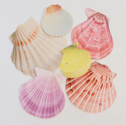 Mini Message Card_Ivory Scallop