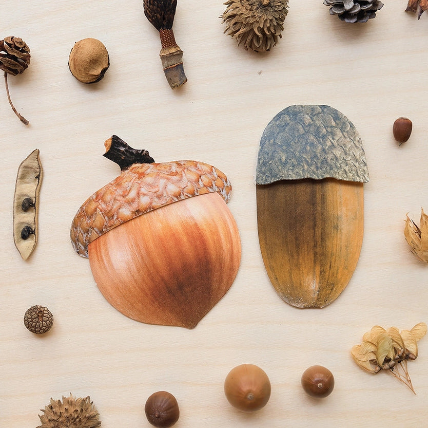 Mini Message Card_Round Acorn