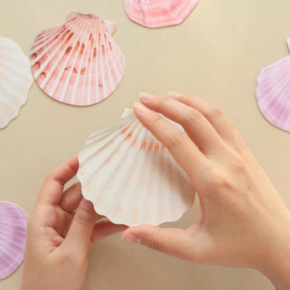 Mini Message Card_Ivory Scallop