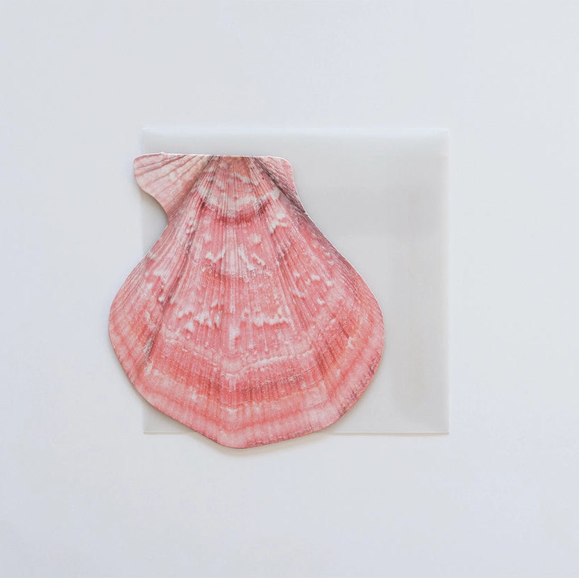 Mini Message Card_Rose Scallop