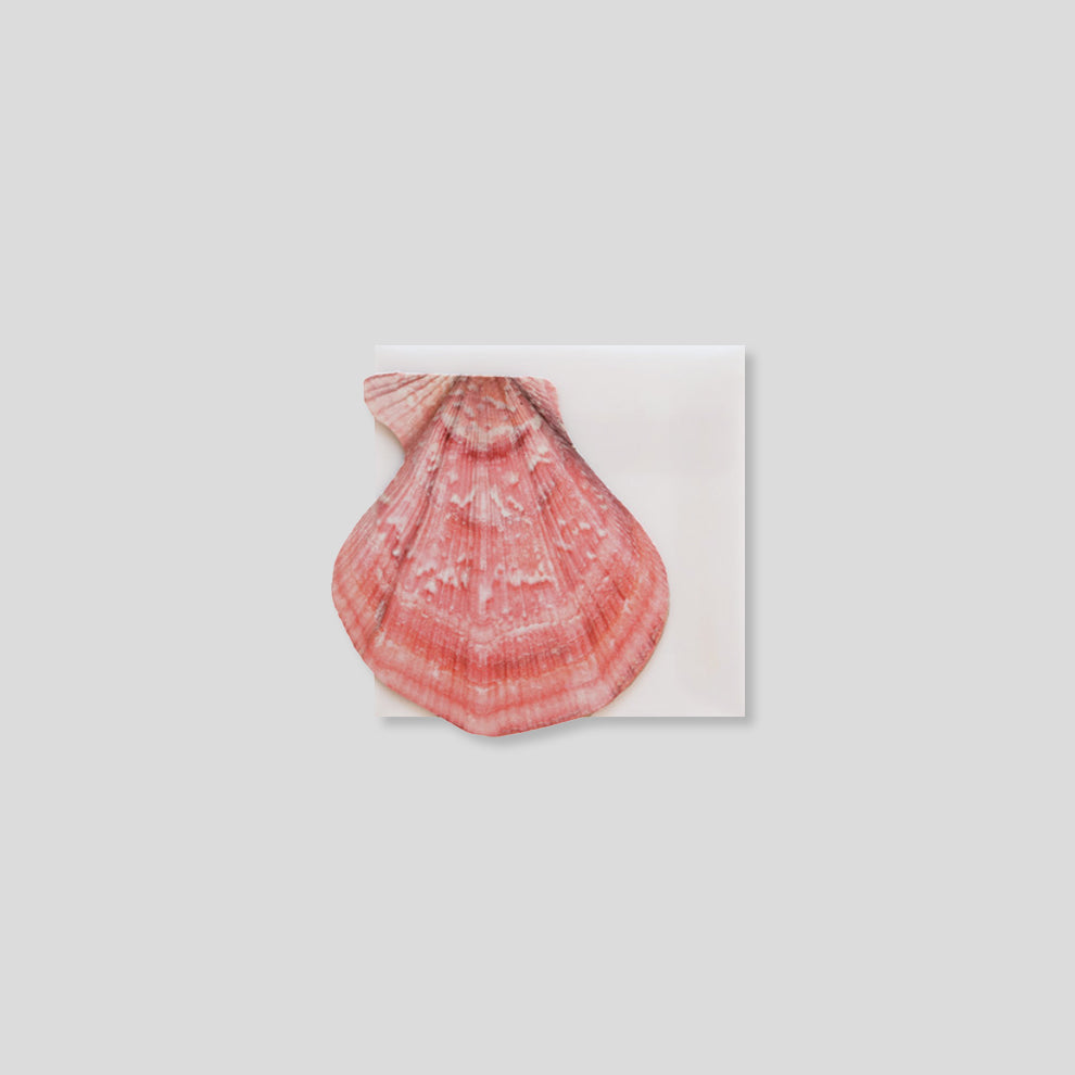 Mini Message Card_Rose Scallop