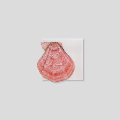 Mini Message Card_Rose Scallop