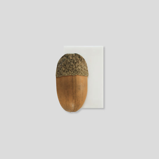 Mini Message Card_Oval Acorn