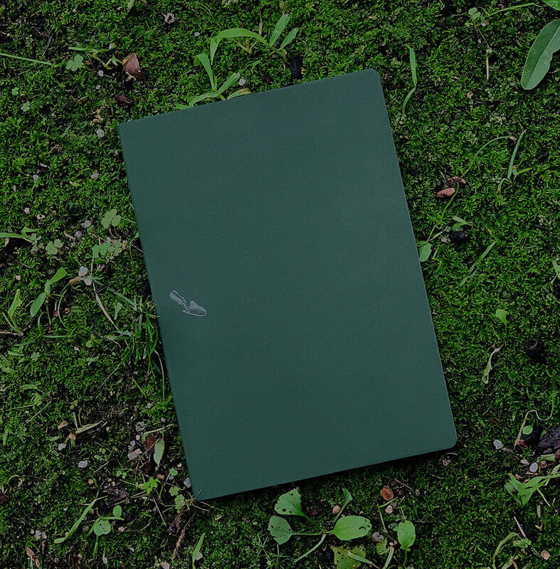 Digging Note Two Ground_Mud Flat