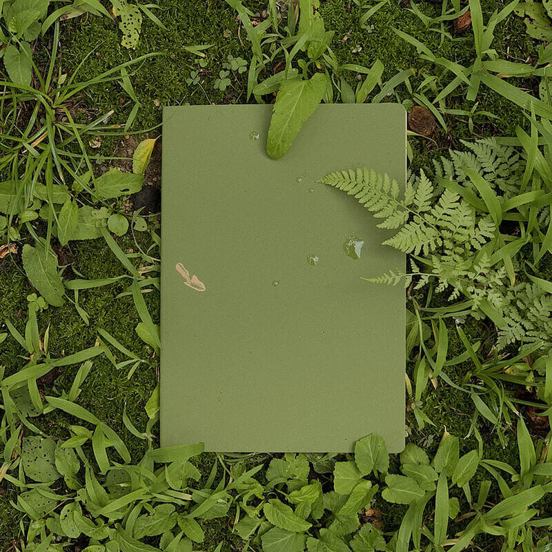 Digging Note Two Ground_Moist Grass