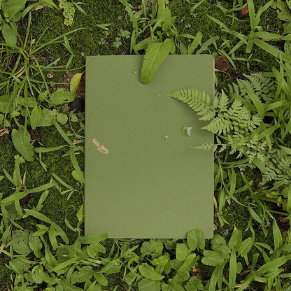 Digging Note Two Ground_Moist Grass
