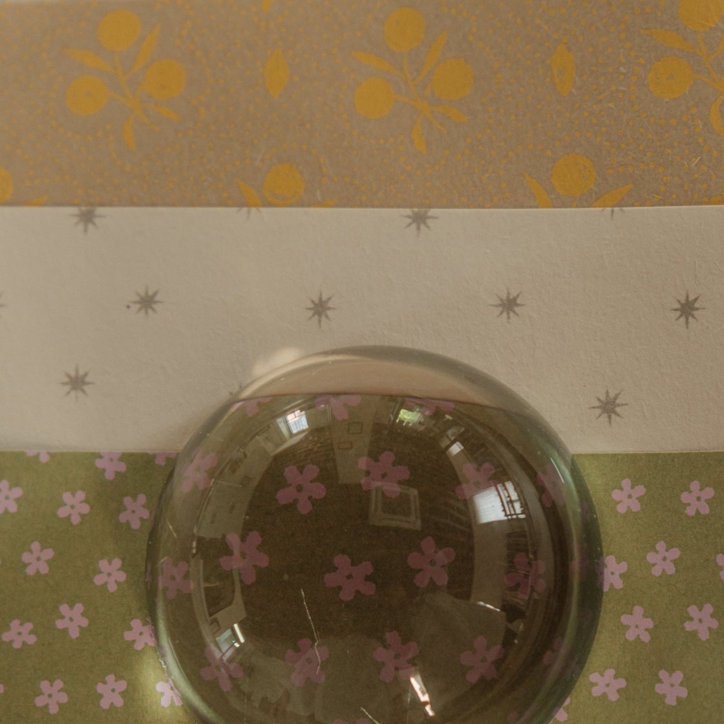 Paper Cover Jacket Set_Yellow Fruit