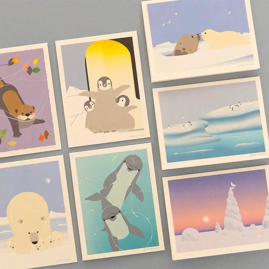 Mini Greeting Card_Harp Seal