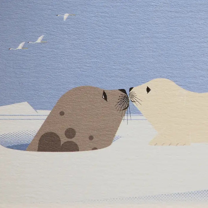 Mini Greeting Card_Harp Seal