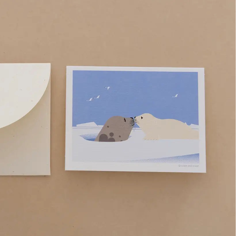 Mini Greeting Card_Harp Seal