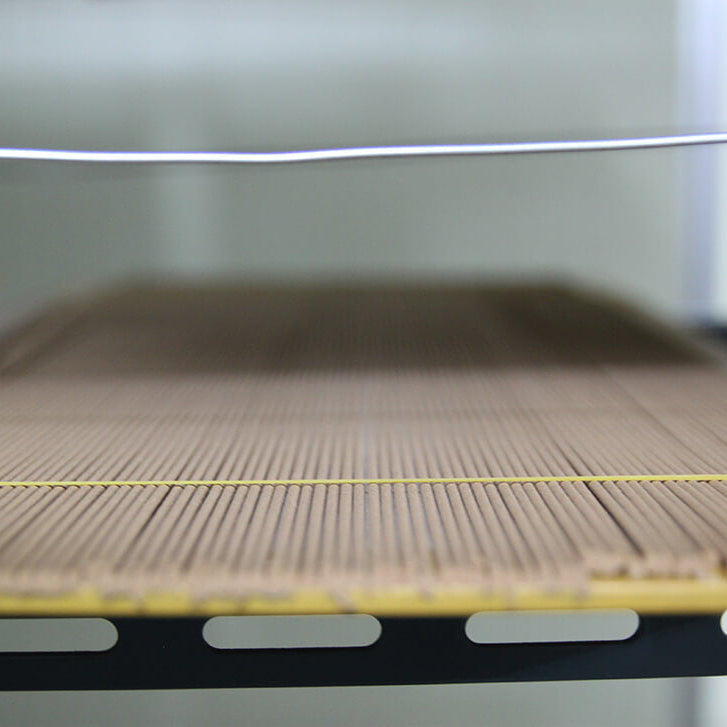 Incense Stick_Family