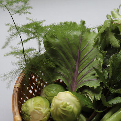 Incense Stick_Summer