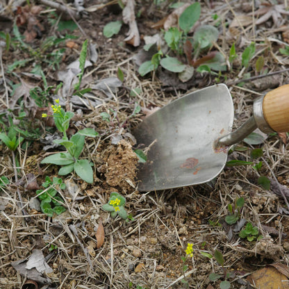 Plant Collecting Bookmark_Cosmos
