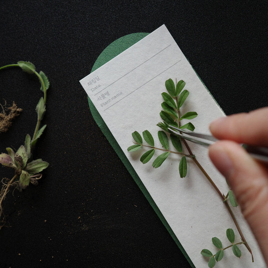 Plant Collecting Bookmark_Cosmos