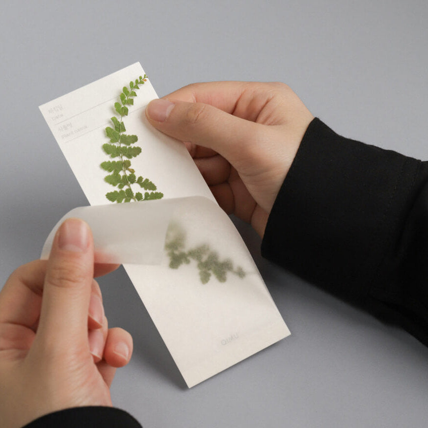 Plant Collecting Bookmark_Cosmos