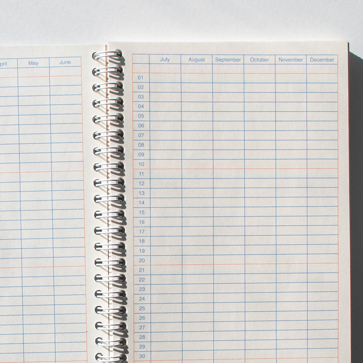 6-Month Planner_Graph